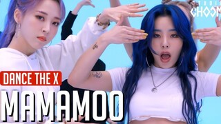 [MMC] MAMAMOO NHẢY THE X 'HIP'