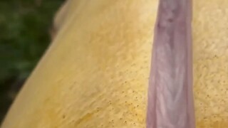 男人减速带之令人惊叹的工作现场~