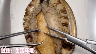 คุณหมอไอซียู เผยเคล็ดลับการกินหอยเป๋าฮื้อให้ดีต่อสุขภาพ!