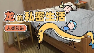 有一点点知名的UP主在家居然是这幅模样？！| 原创动画 | 我的爸爸是条龙哦