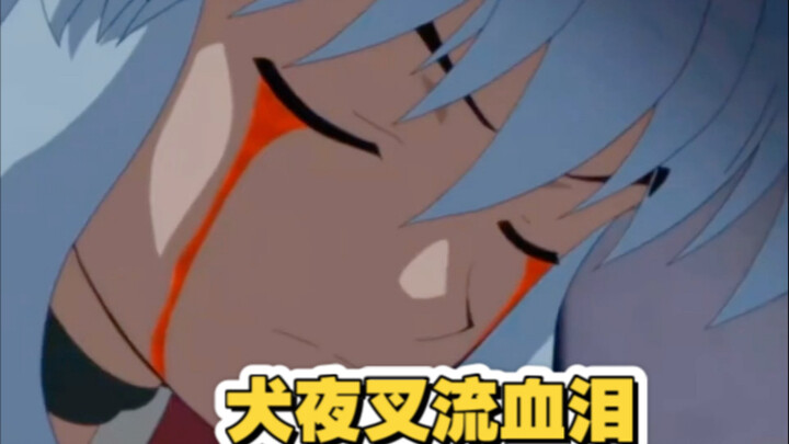 Orang yang paling kamu cintai sudah tiada, pasti sangat sedih, kan?