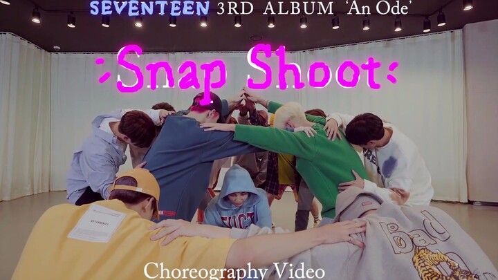【SEVENTEEN】نسخة المؤثرات الخاصة لرقصة غرفة التدريب على التصوير الفوري