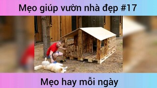 Mẹo giúp vườn nhà đẹp p17