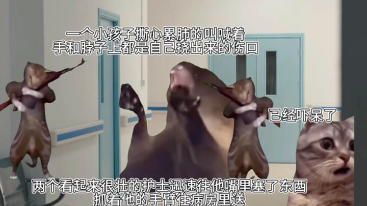 [Cat Meme] Living with Mom in a Psychiatric Hospital (Part 1)