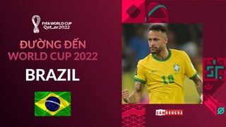 ĐƯỜNG ĐẾN WORLD CUP 2022: BRAZIL VÀ QUYẾT TÂM CHINH PHỤC NGÔI SAO VÀNG THỨ 6