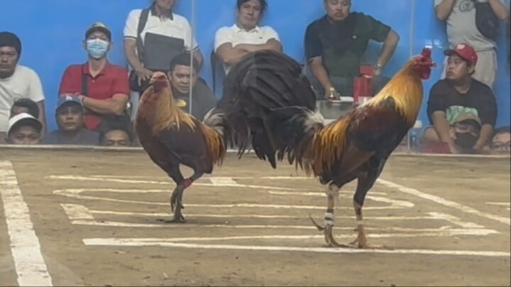 1.5 million ang parada natangal ang tari