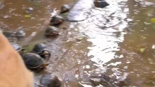 ในสถานะนี้อย่างน้อยก็ต้องเป็นอัครมหาเสนาบดี