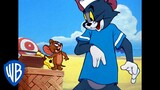 Tom et Jerry en Français | Joyeux anniversaire, Tom et Jerry ! | WB Kids