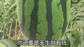 لا تحتاج إلى أن تكون قد نشأت في الحب لتكون مثاليًا