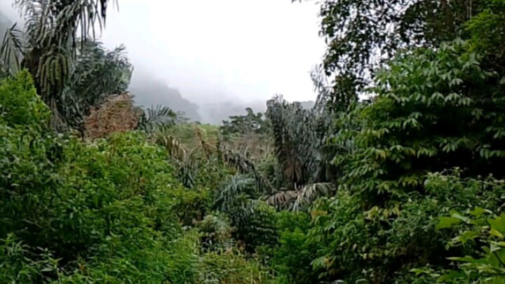 mirip pegunungan donghua😍😍