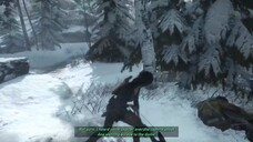 Tomb Raider 10.5 Tomb