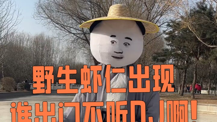 野生虾仁出现——谁出门不听DJ呀