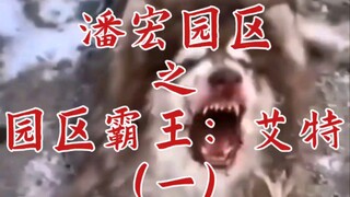 Pan Hong Park's Park Overlord: Aite (Part 1)