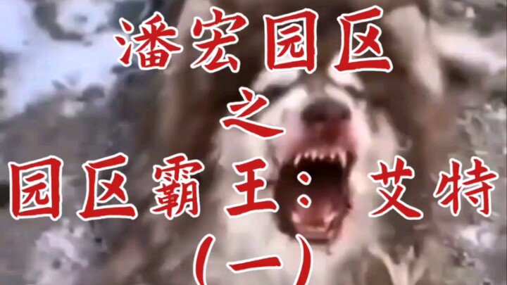 潘宏园区之园区霸王：艾特（一）