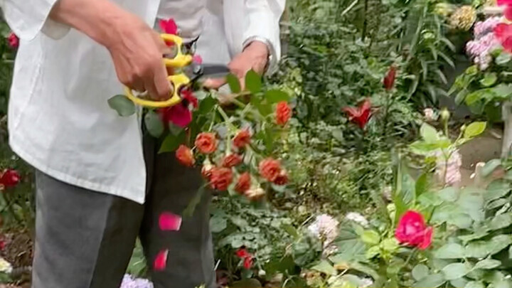 Stop sneaking around—just ask me nicely!