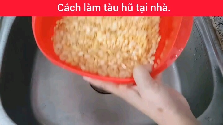 làm tàu hũ tại nhà