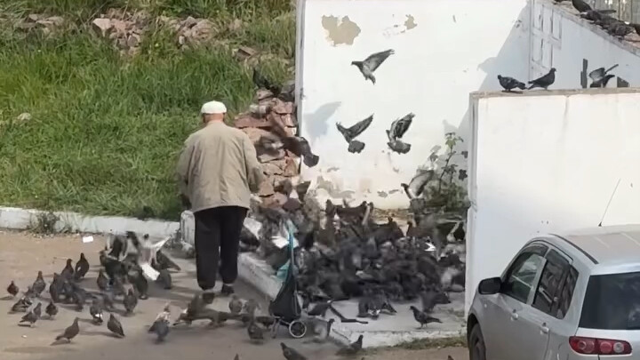 The Russian old man in the courtyard feeds the pigeons every day.