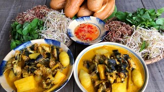 Mấy Chú Cháu Đi Nhổ Khoai Mì Nấu Cari  Ếch Ngày Mưa Đầu Mùa | MTQH