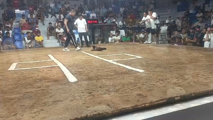 3 hits ulutan taytay arena 1st fyt win hiraw