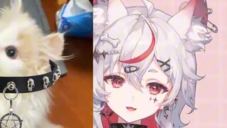 My childhood friend gave me a collar with a chain on Children's Day? [Wumi]