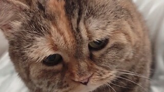 Bão đáng sợ quá, em có thể ngủ cùng anh không?