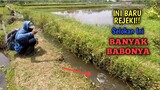 MANTAPP!! Mancing Di Selokan Banyak Ikan Babon || STRIKE TERUS BROO!!