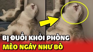 Hoàng Thượng NGÁY NHƯ BÒ bị Sen ĐUỔI khỏi phòng khi đang ngủ ngon 😂 | Yêu Lu