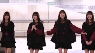 Makoto: Nhiều Kanon quá!