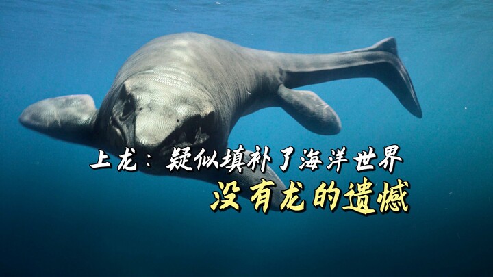 ชางหลง: ดูเหมือนจะมาเติมเต็มความเสียดายที่โลกแห่งท้องทะเลไม่มีมังกร!