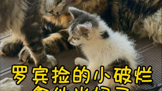 罗宾：当妈啦？？？？？