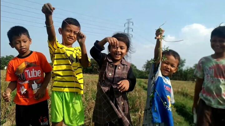 JAGAR SI PETUALANG | Akereka TV