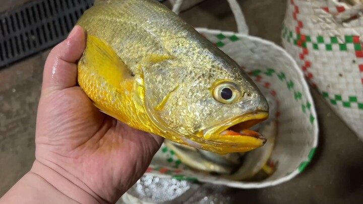 โอ้พระเจ้า… ชนะพนันได้เข้าห้องปลา แพ้พนันต้องเข้าครัว