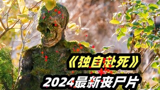 Một đợt bùng phát virus zombie đã xảy ra, và sau khi zombie biến hình, cơ thể chúng phủ đầy cỏ, và đ