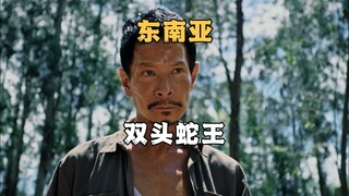 东南亚惊现双头蛇王，捕蛇人闻风而动