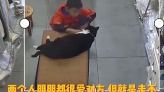 Meskipun Ye Gong menyukai naga, anak itu sebenarnya baik. Dia baik hati dan pemberani. _cat_anak lak