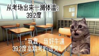 【猫猫meme】关于我高考阳了这件事