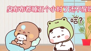布布到底有没有睡傻呢