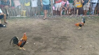 1st fight L