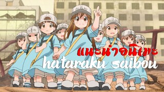 แนะนำอนิเมะได้ความรู้ "Hataraku Saibou"