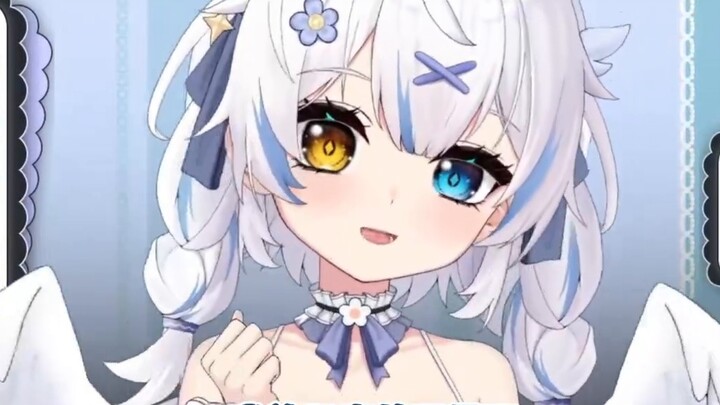 I was wondering why I couldn’t find my socks! ! ! !