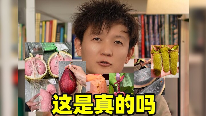 [Fruit Hunter x Hunter] Is This Real? (Part 1)