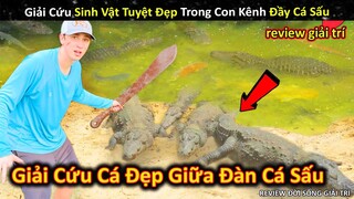 Giải Cứu Sinh Vật Thủy Sinh Tuyệt Đẹp Trong Con Kênh Đầy Cá Sấu Kinh Dị || Review Giải Trí Đời Sống