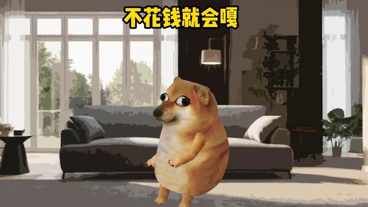 你能在一天内花掉这么多钱吗？