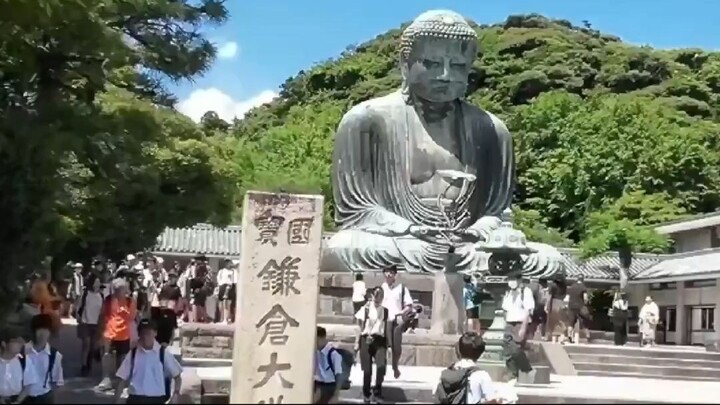 The Great Buddha of Kamakura (Kotoku-in) | Japan Travel #Shorts