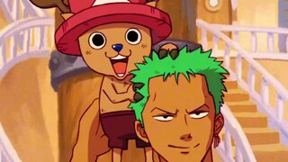 Zoro + Sanji  Chopper Robin Luffy ||One piece