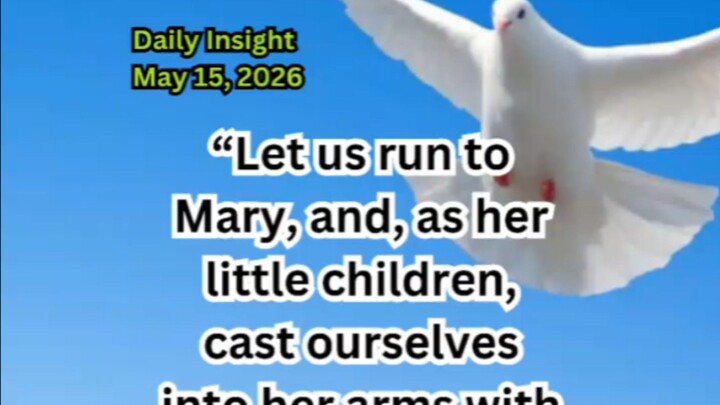 Daily Insight May 15, 2026 #faith #saint #insight