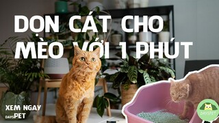 1 PHÚT và 3 BƯỚC dọn khay cát vệ sinh cho mèo dễ, tiết kiệm thời gian đến khó tin | Dayspet