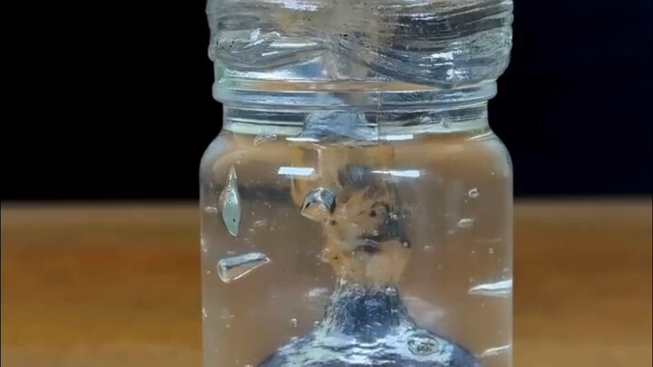 “I Really Believe Aloe Vera Can Heal Burns Now”