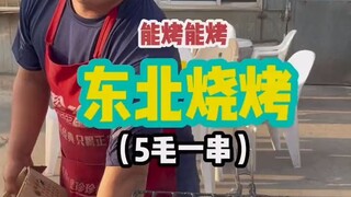 东北街边的烧烤小店 很多都五毛钱一串 充满了人间烟火气 你感觉五十元这么多 值不值？ #烧烤 #东北美食 #路边摊美味 #街边小吃 #东北烤串