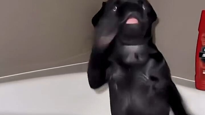 #fypシ